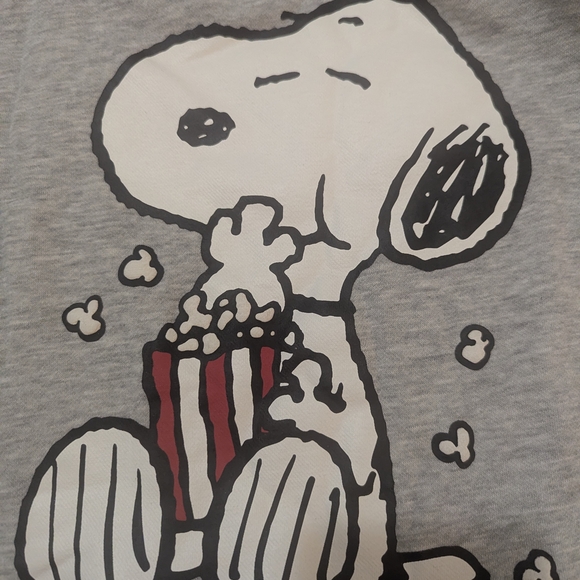 H&M Gray Snoopy Sweatshirt - Picture 4 of 5